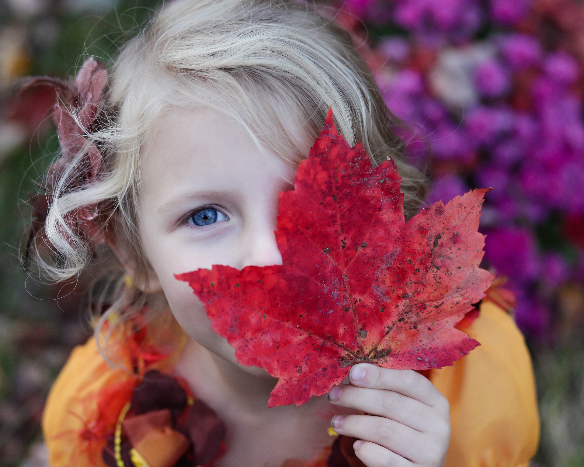 Christian Family Herbalist Course Online