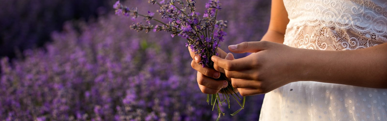 Christian Herbalism Courses Online