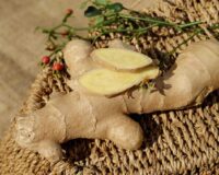 Holistic support for stomach bugs : diet and herbs