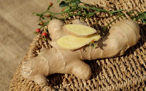 Holistic support for stomach bugs : diet and herbs
